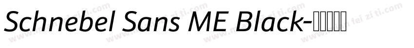 Schnebel Sans ME Black字体转换